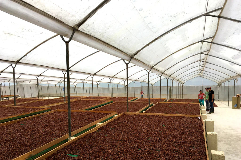 CQI INTRO TO POST-HARVEST PROCESSING