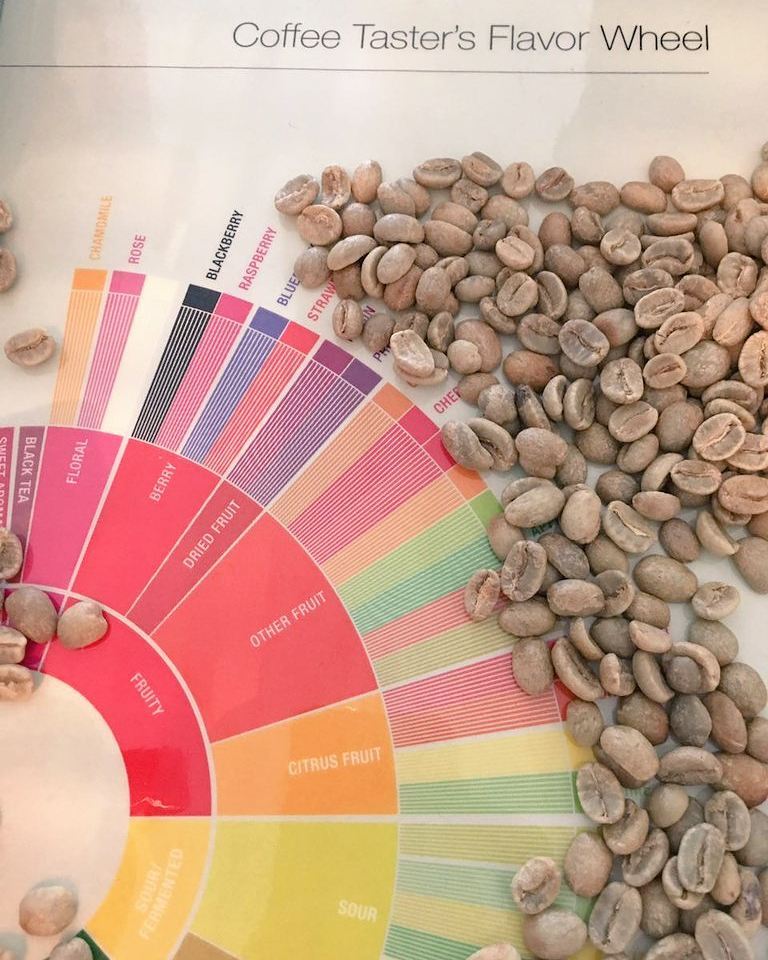 SCA INTRODUCTION TO COFFEE