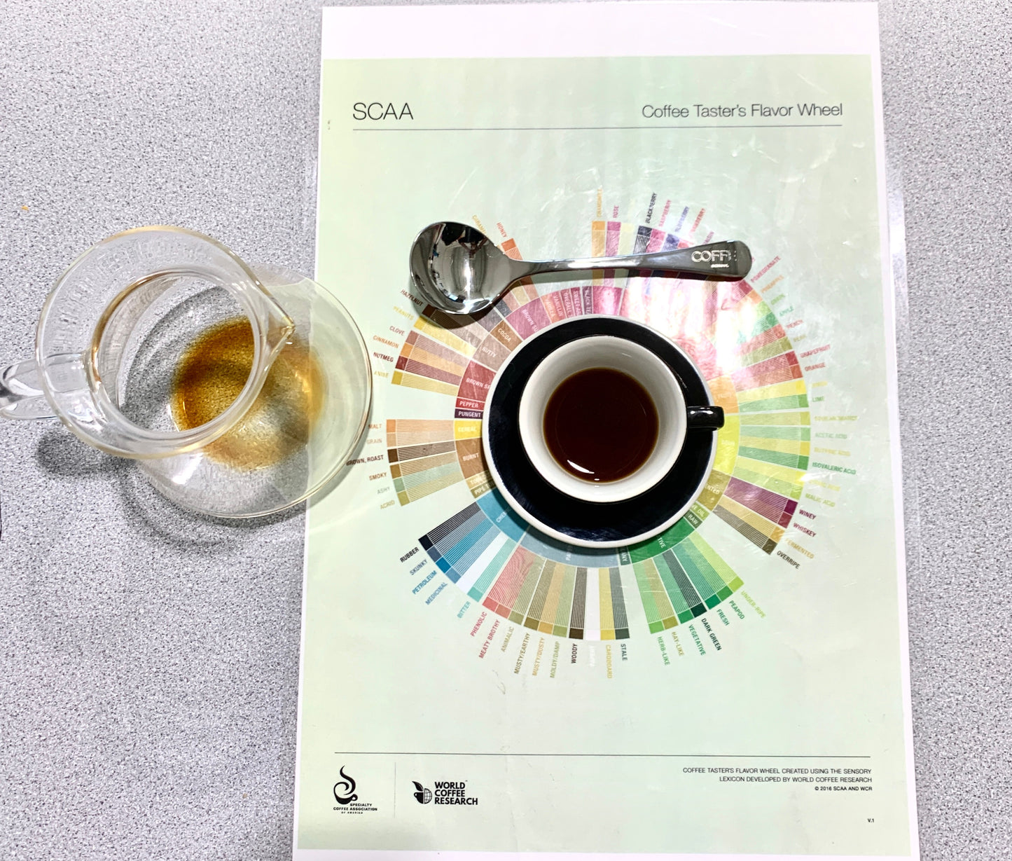 Coffea School, Engraved, Cupping Spoon