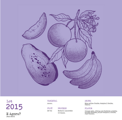 Masterpieces by Daterra Auction 2023 - Lot 2015, E Agora? (Arara 60hr Natural Anaerobic Fermentation)