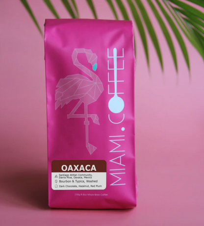 Mexico Oaxaca - Sierra Mixe