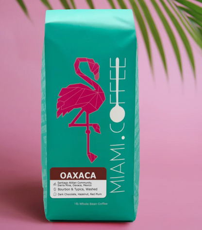 Mexico Oaxaca - Sierra Mixe