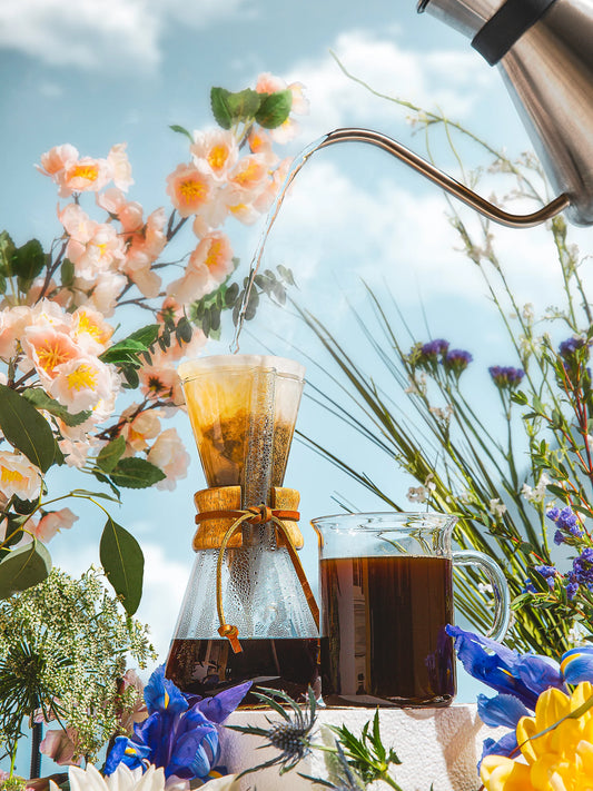 Chemex® 3 Cup Classic