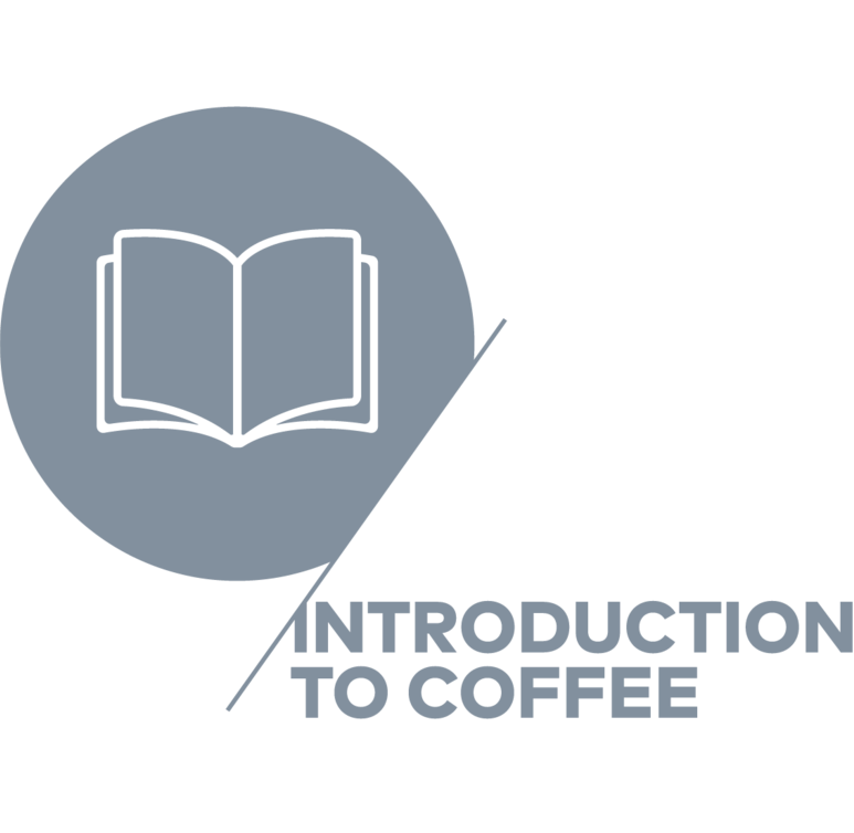 Asociación de Cafés Especiales, Programa Coffee Skills, Introducción al Café, Coffea School