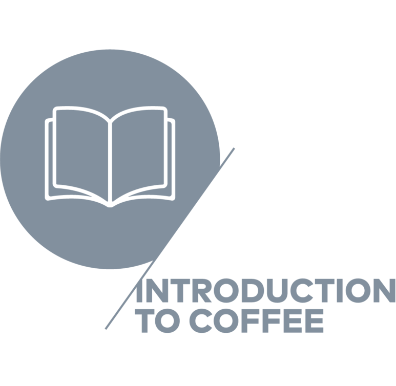 Specialty Coffee Association, Coffee Skills Program, Introduction to Coffee, Coffea School