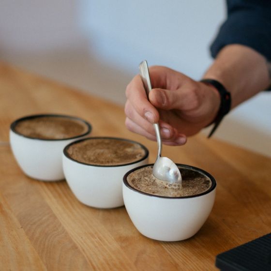 Rhino Cupping Bowls